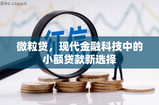 古县微粒贷，现代金融科技中的小额贷款新选择