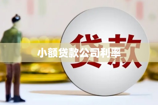 古县小额贷款公司利率