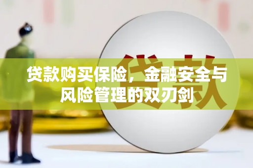 古县贷款购买保险，金融安全与风险管理的双刃剑