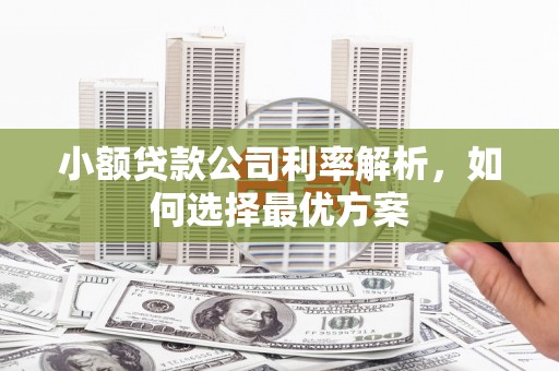 古县小额贷款公司利率解析，如何选择最优方案