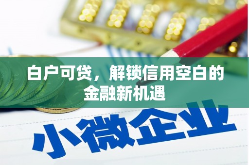 古县白户可贷，解锁信用空白的金融新机遇