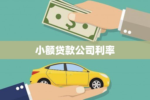 古县小额贷款公司利率