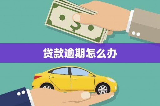 古县贷款逾期怎么办