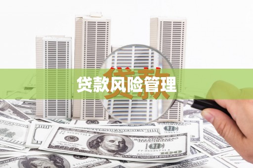 古县贷款风险管理