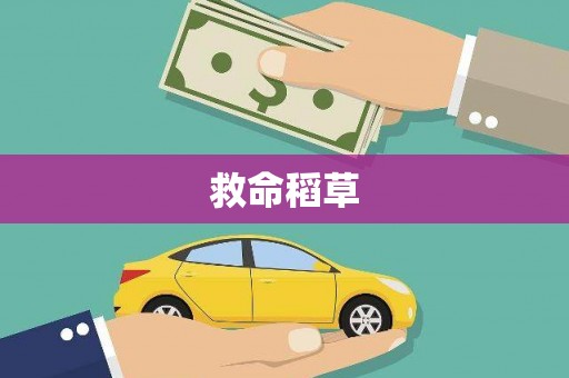 古县救命稻草
