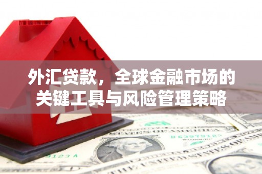 古县外汇贷款，全球金融市场的关键工具与风险管理策略