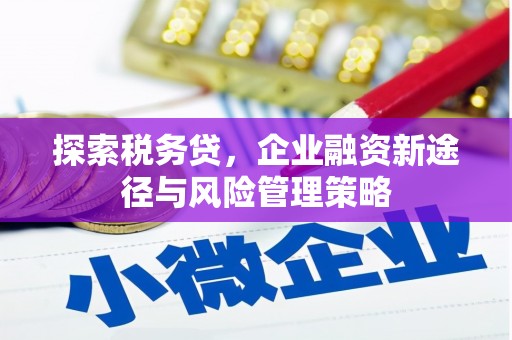古县探索税务贷，企业融资新途径与风险管理策略