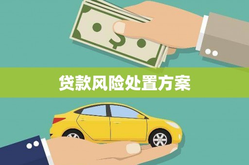 古县贷款风险处置方案