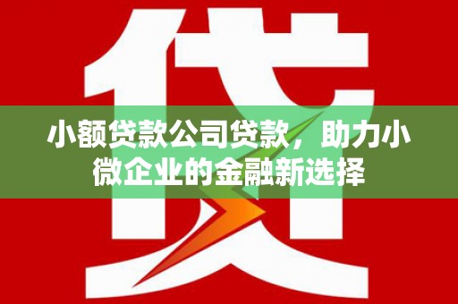 古县小额贷款公司贷款，助力小微企业的金融新选择