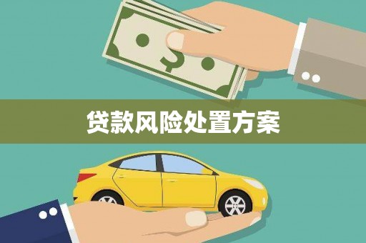 古县贷款风险处置方案