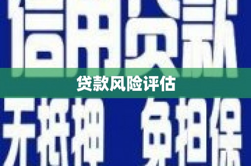 古县贷款风险评估