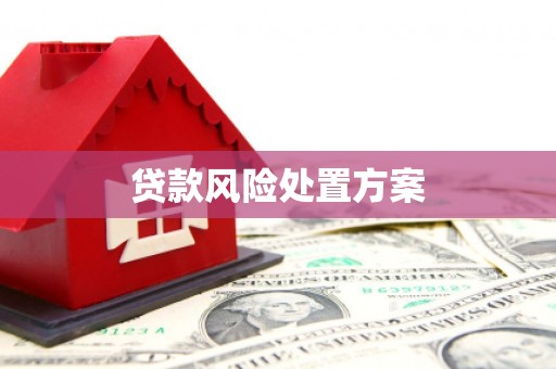 古县贷款风险处置方案