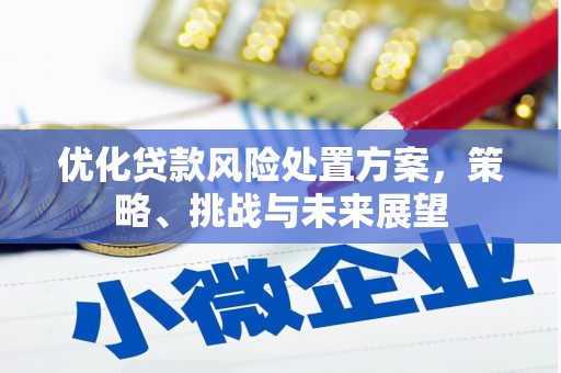古县优化贷款风险处置方案，策略、挑战与未来展望