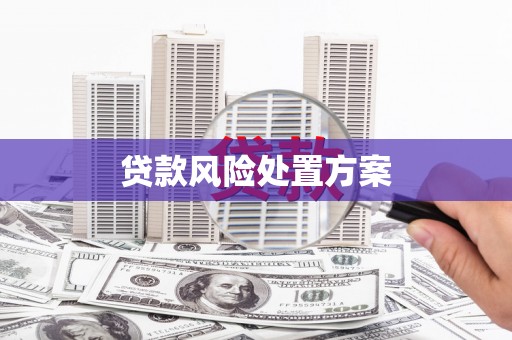 古县贷款风险处置方案