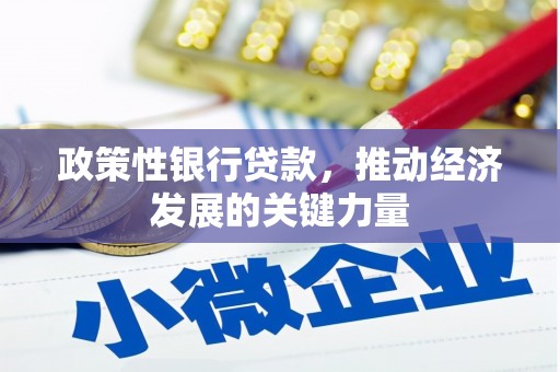 古县政策性银行贷款，推动经济发展的关键力量