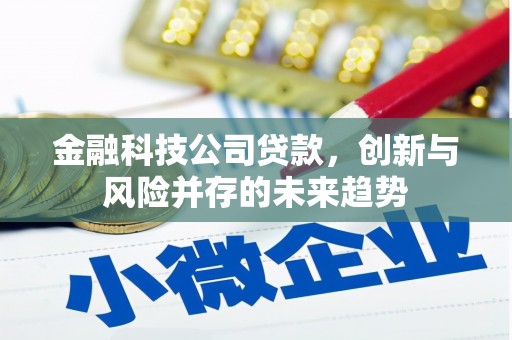古县金融科技公司贷款，创新与风险并存的未来趋势
