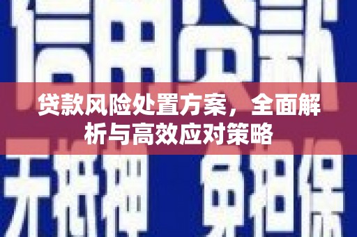 古县贷款风险处置方案，全面解析与高效应对策略