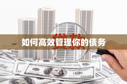 古县如何高效管理你的债务
