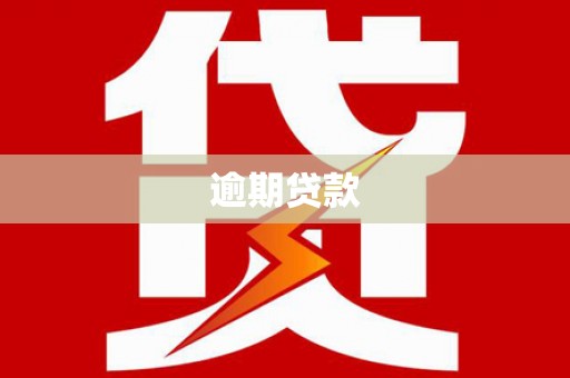 古县逾期贷款
